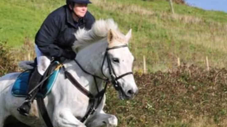 South Mayo Harriers Hunt Club
